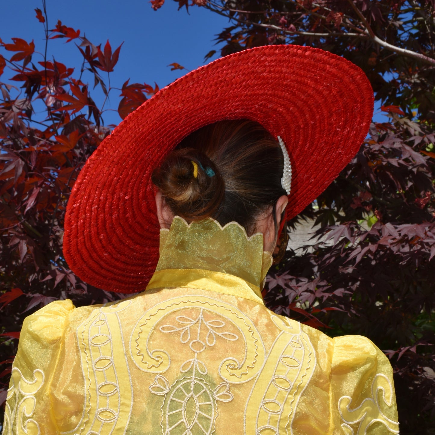 Summer Hat for Women / Red Straw Hat